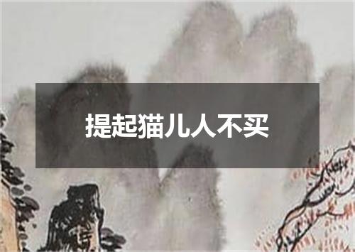 提起猫儿人不买