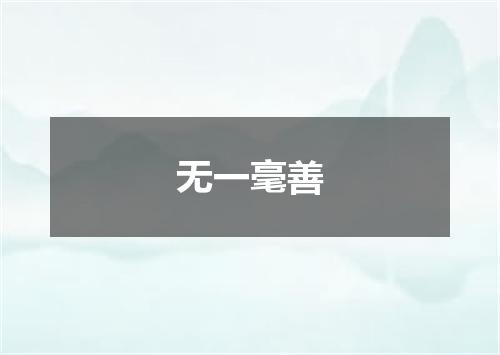 无一毫善