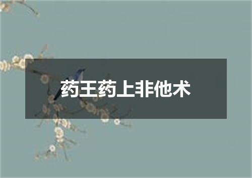 药王药上非他术