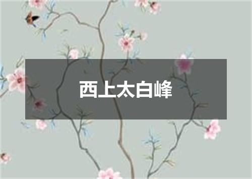 西上太白峰