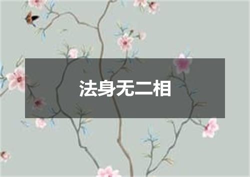 法身无二相