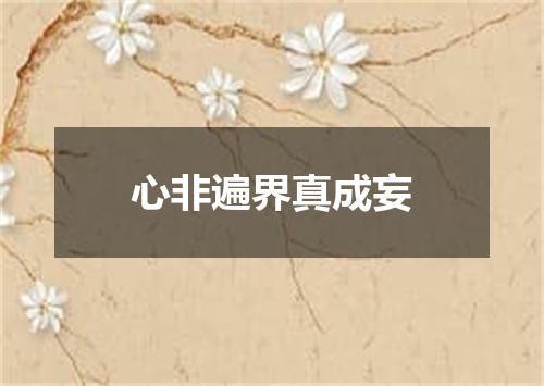 心非遍界真成妄