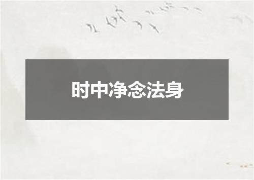 时中净念法身