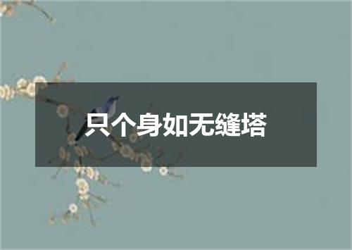 只个身如无缝塔