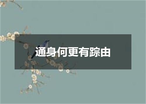 通身何更有踪由