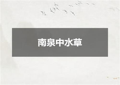 南泉中水草