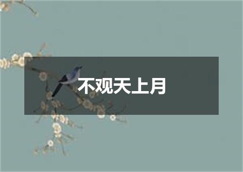 不观天上月