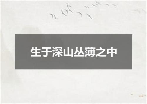 生于深山丛薄之中