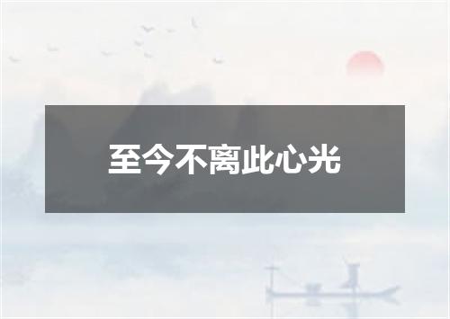 至今不离此心光