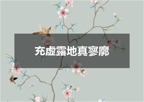 充虚露地真寥廓