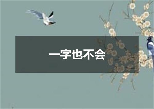 一字也不会