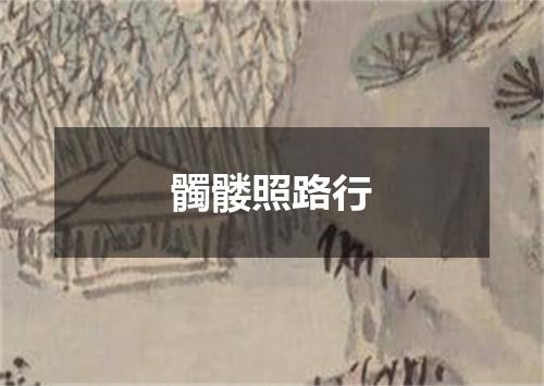 髑髅照路行
