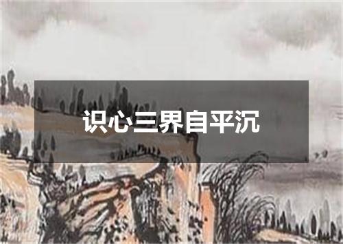 识心三界自平沉