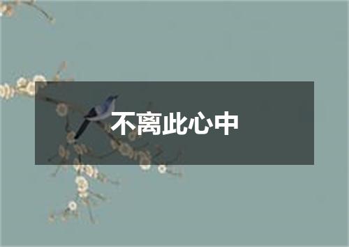 不离此心中