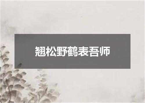 翘松野鹤表吾师