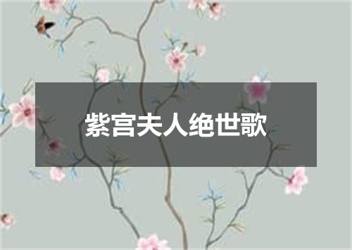 紫宫夫人绝世歌