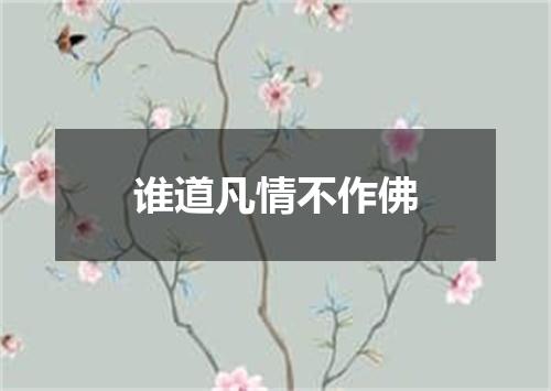 谁道凡情不作佛
