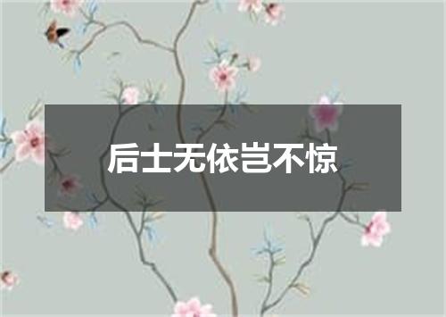 后士无依岂不惊