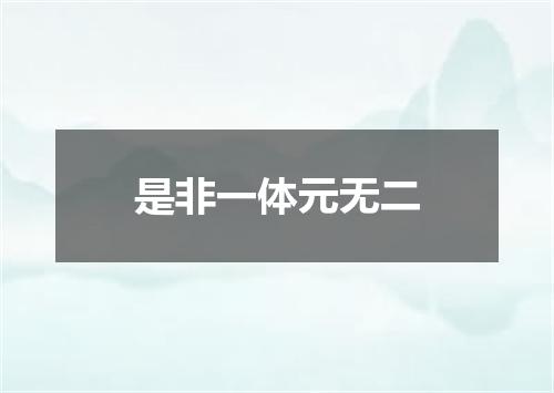 是非一体元无二
