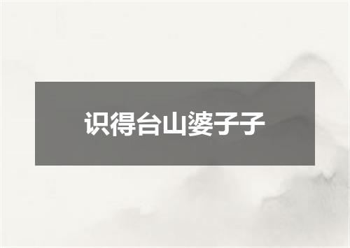 识得台山婆子子
