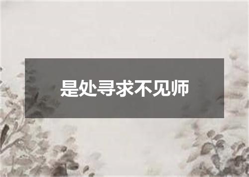 是处寻求不见师