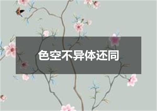 色空不异体还同