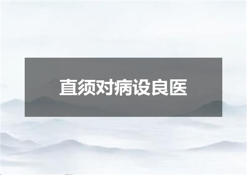 直须对病设良医