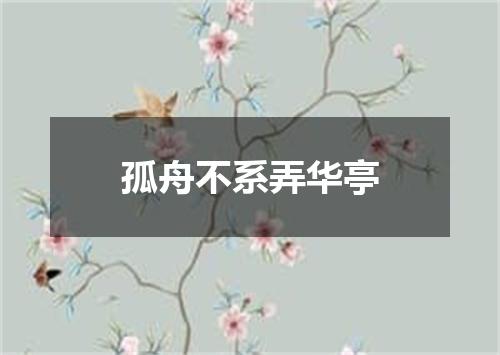 孤舟不系弄华亭