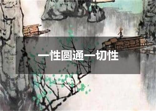 一性圆通一切性