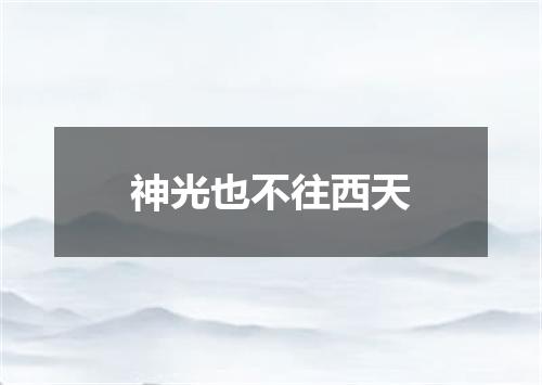 神光也不往西天