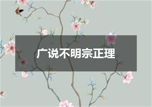 广说不明宗正理
