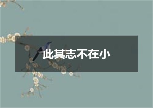 此其志不在小
