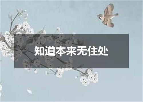 知道本来无住处