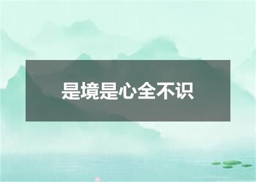 是境是心全不识