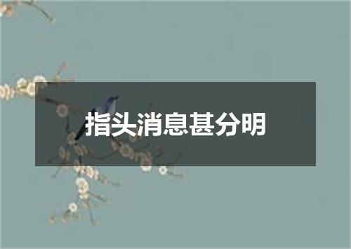 指头消息甚分明