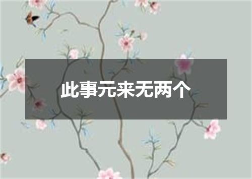 此事元来无两个