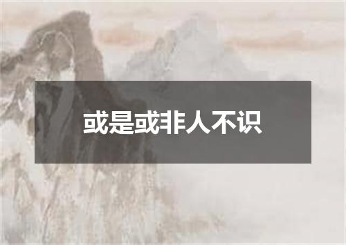 或是或非人不识