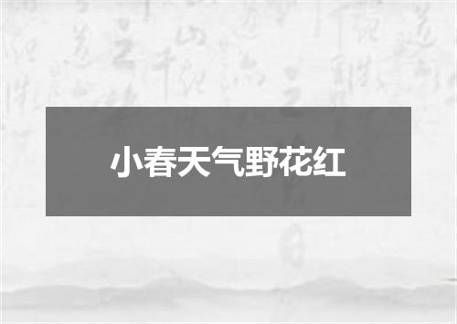 小春天气野花红