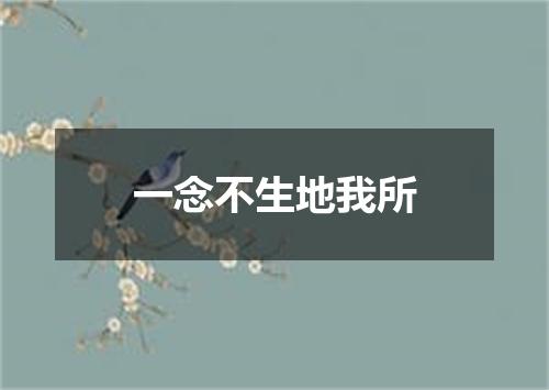 一念不生地我所