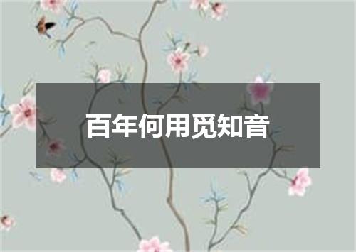 百年何用觅知音