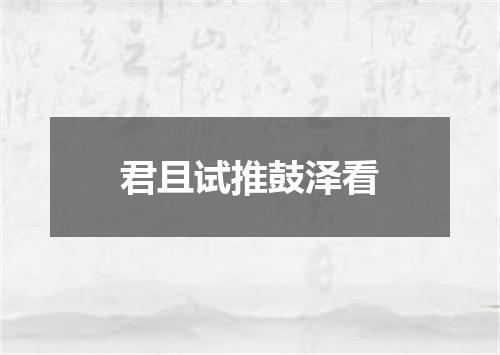 君且试推鼓泽看