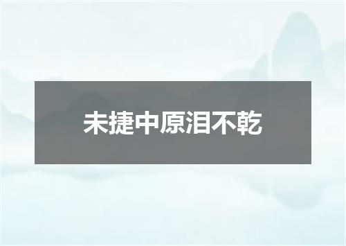 未捷中原泪不乾
