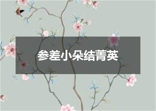 参差小朵结菁英