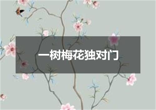 一树梅花独对门