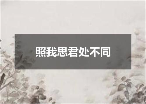 照我思君处不同