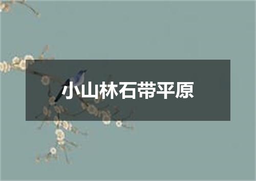 小山林石带平原