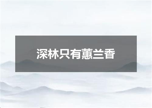 深林只有蕙兰香