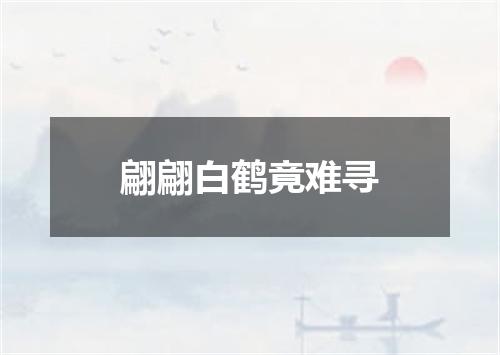 翩翩白鹤竟难寻