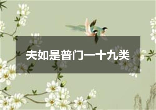 夫如是普门一十九类