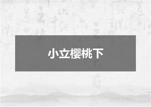 小立樱桃下